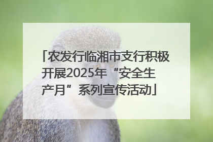 农发行临湘市支行积极开展2025年“安全生产月”系列宣传活动