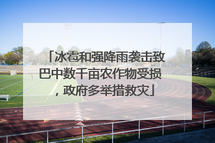 冰雹和强降雨袭击致巴中数千亩农作物受损，政府多举措救灾