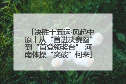 决胜十五运·风起中原丨从“首进决赛圈”到“首登领奖台” 河南体操“突破”何来
