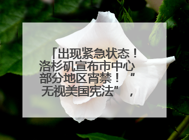 出现紧急状态！洛杉矶宣布市中心部分地区宵禁！“无视美国宪法”，美民主党议员批评特朗普