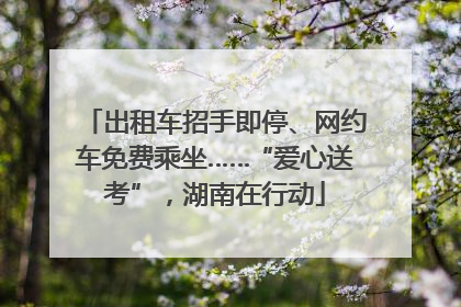 出租车招手即停、网约车免费乘坐……“爱心送考”，湖南在行动