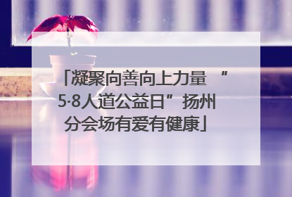 凝聚向善向上力量 “5·8人道公益日”扬州分会场有爱有健康