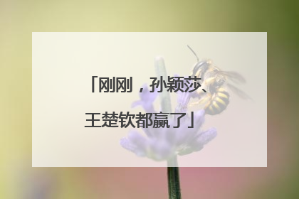 刚刚，孙颖莎、王楚钦都赢了