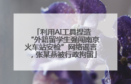 利用AI工具捏造 “外籍留学生强闯南京火车站安检”网络谣言，张某燕被行政拘留