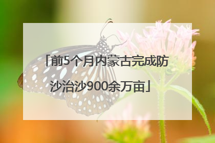 前5个月内蒙古完成防沙治沙900余万亩