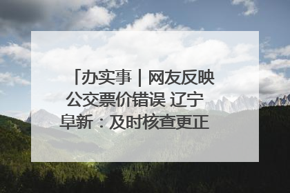 办实事｜网友反映公交票价错误 辽宁阜新：及时核查更正 加强实时巡检