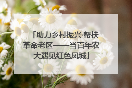 助力乡村振兴·帮扶革命老区——当百年农大遇见红色凤城