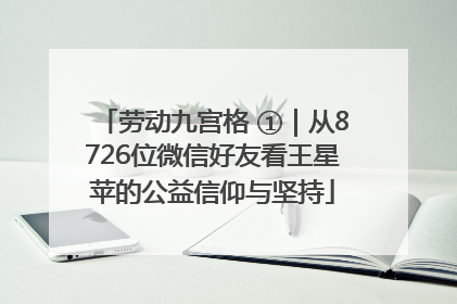 劳动九宫格 ①｜从8726位微信好友看王星苹的公益信仰与坚持