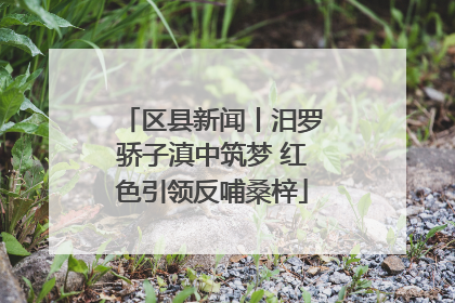 区县新闻丨汨罗骄子滇中筑梦 红色引领反哺桑梓