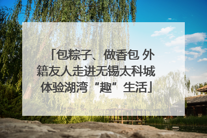 包粽子、做香包 外籍友人走进无锡太科城体验湖湾“趣”生活