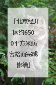 北京经开区约6500平方米病害路面完成修缮