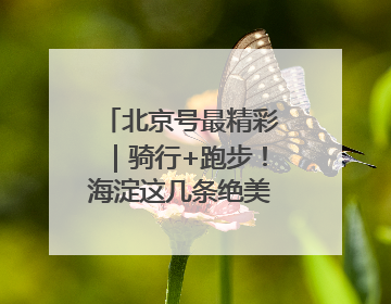 北京号最精彩｜骑行+跑步！海淀这几条绝美路线不容错过