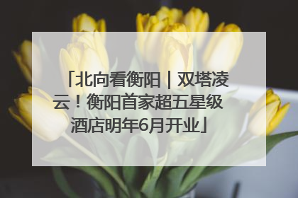 北向看衡阳｜双塔凌云！衡阳首家超五星级酒店明年6月开业