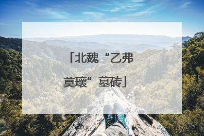 北魏“乙弗莫瓌”墓砖