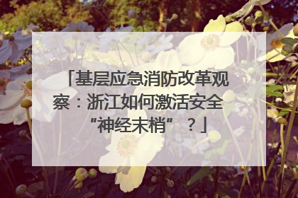 基层应急消防改革观察：浙江如何激活安全“神经末梢”？