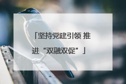 坚持党建引领 推进“双融双促”
