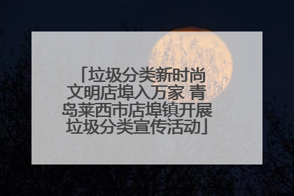 垃圾分类新时尚 文明店埠入万家 青岛莱西市店埠镇开展垃圾分类宣传活动
