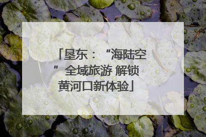 垦东：“海陆空”全域旅游 解锁黄河口新体验