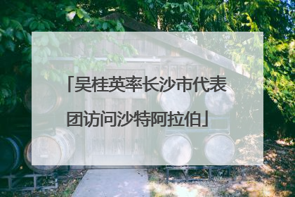 吴桂英率长沙市代表团访问沙特阿拉伯