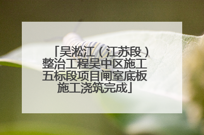 吴淞江（江苏段）整治工程吴中区施工五标段项目闸室底板施工浇筑完成