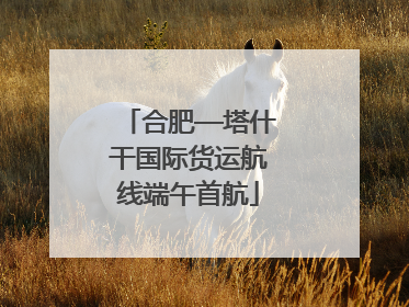 合肥—塔什干国际货运航线端午首航