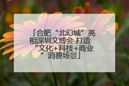 合肥“北幻城”亮相深圳文博会 打造“文化+科技+商业”消费场景