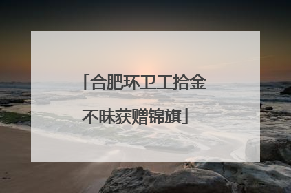 合肥环卫工拾金不昧获赠锦旗