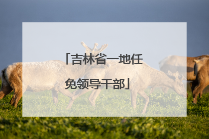 吉林省一地任免领导干部
