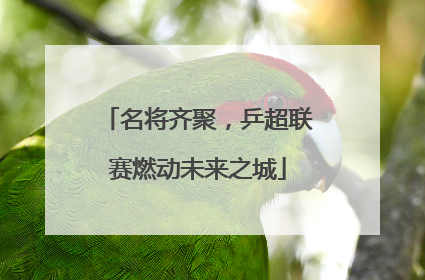 名将齐聚，乒超联赛燃动未来之城