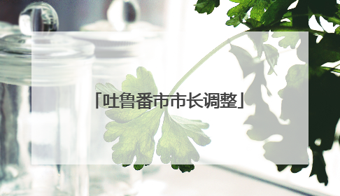 吐鲁番市市长调整