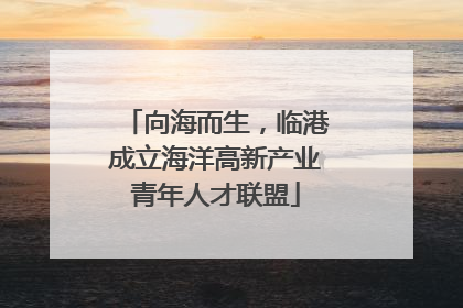 向海而生，临港成立海洋高新产业青年人才联盟