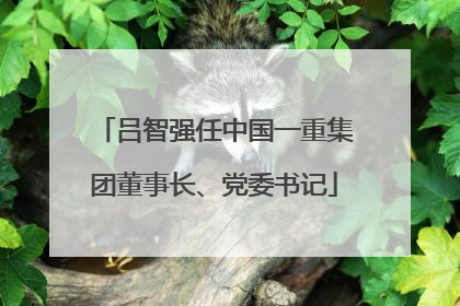 吕智强任中国一重集团董事长、党委书记