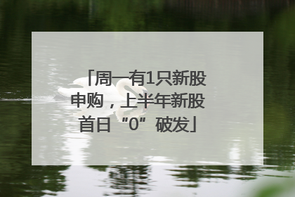 周一有1只新股申购，上半年新股首日“0”破发