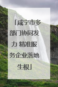 咸宁市多部门协同发力 精准服务企业落地生根
