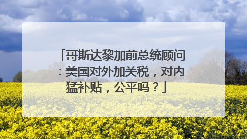 哥斯达黎加前总统顾问：美国对外加关税，对内猛补贴，公平吗？