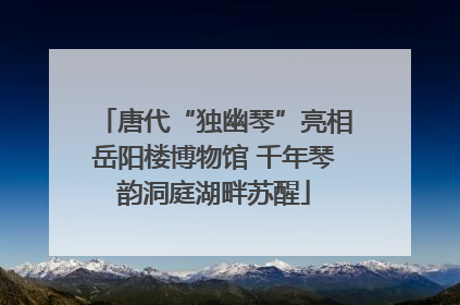唐代“独幽琴”亮相岳阳楼博物馆 千年琴韵洞庭湖畔苏醒