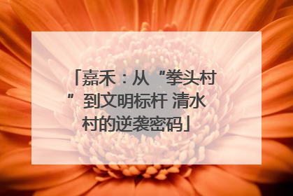 嘉禾：从“拳头村”到文明标杆 清水村的逆袭密码
