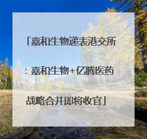 嘉和生物递表港交所：嘉和生物+亿腾医药战略合并即将收官