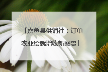 嘉鱼县供销社：订单农业绘就增收新图景