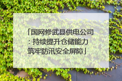 国网修武县供电公司：持续提升仓储能力 筑牢防汛安全屏障