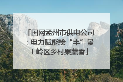 国网孟州市供电公司：电力赋能绘“丰”景！岭区乡村果蔬香