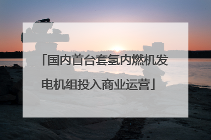 国内首台套氢内燃机发电机组投入商业运营