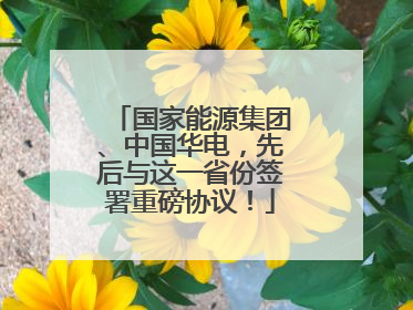 国家能源集团、中国华电，先后与这一省份签署重磅协议！