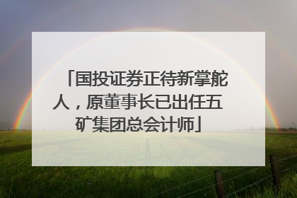 国投证券正待新掌舵人，原董事长已出任五矿集团总会计师