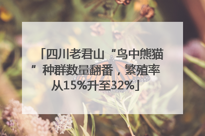 四川老君山“鸟中熊猫”种群数量翻番，繁殖率从15%升至32%