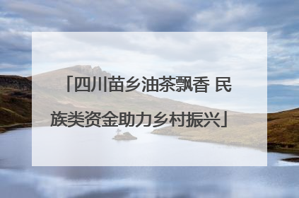 四川苗乡油茶飘香 民族类资金助力乡村振兴