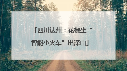 四川达州：花椒坐“智能小火车”出深山