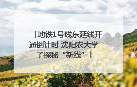 地铁1号线东延线开通倒计时 沈阳农大学子探秘“新线”