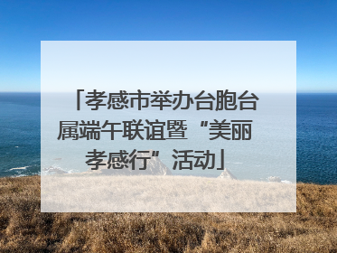 孝感市举办台胞台属端午联谊暨“美丽孝感行”活动