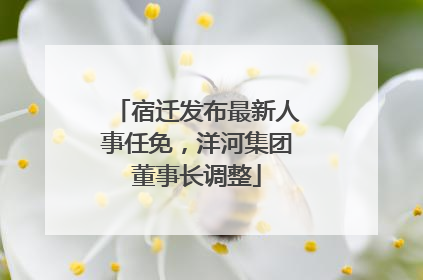 宿迁发布最新人事任免，洋河集团董事长调整
